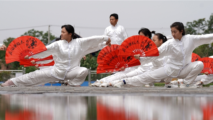 【intangible Cultural Heritage】Martial Arts: Chinese Tai Chi Fan