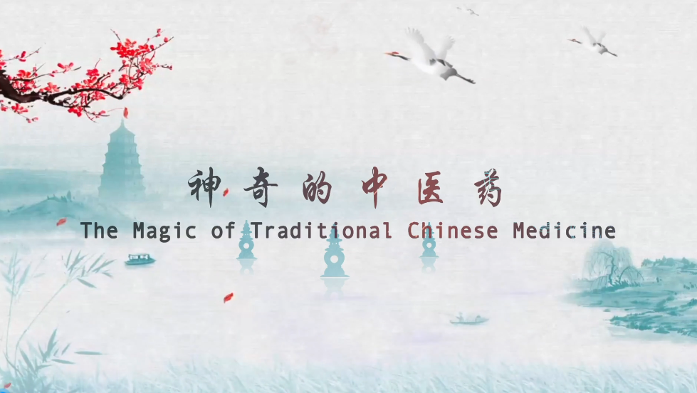 The magic of Traditional Chinese Medicine