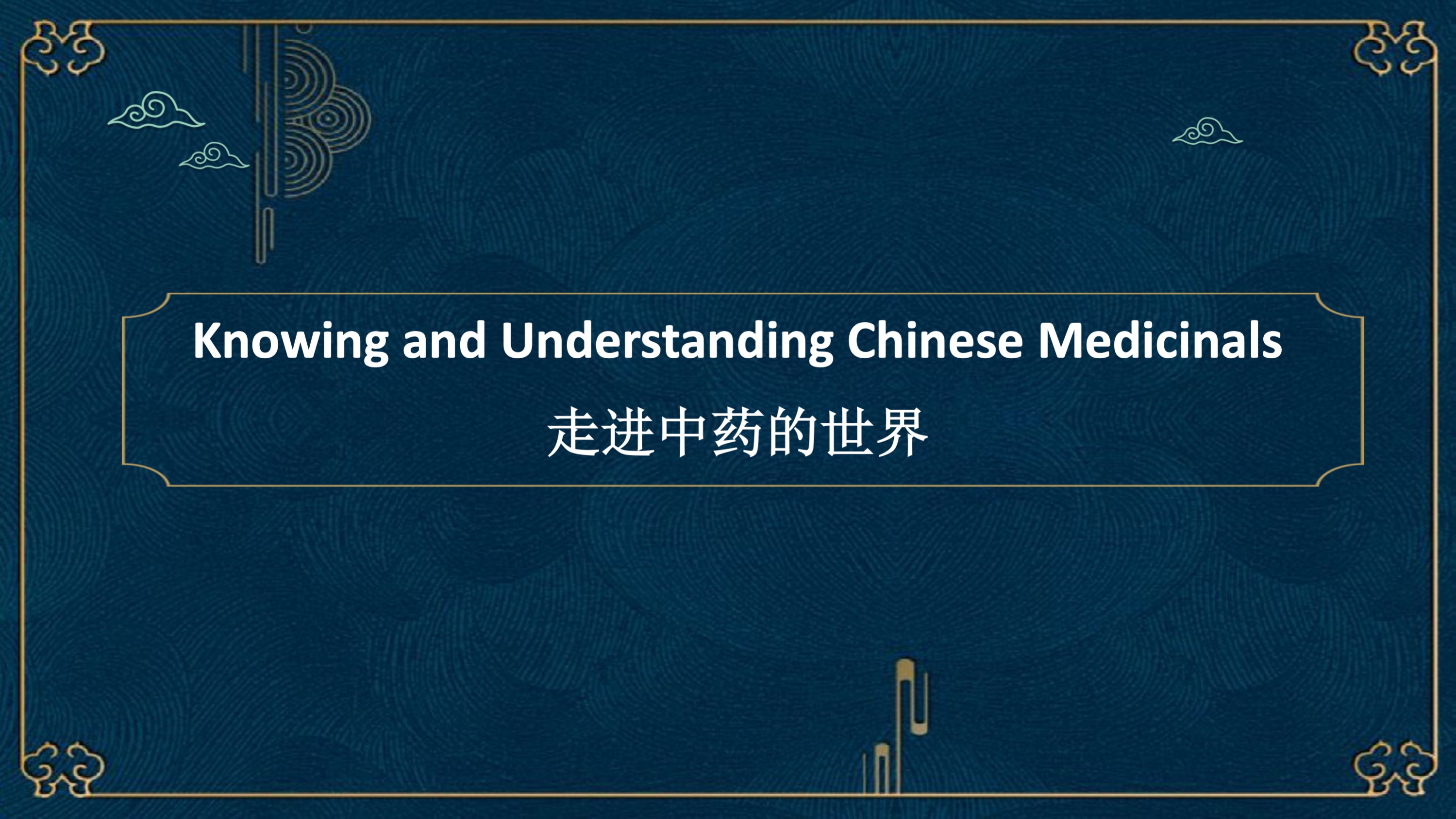 Knowing and Understanding Chinese Medicinals