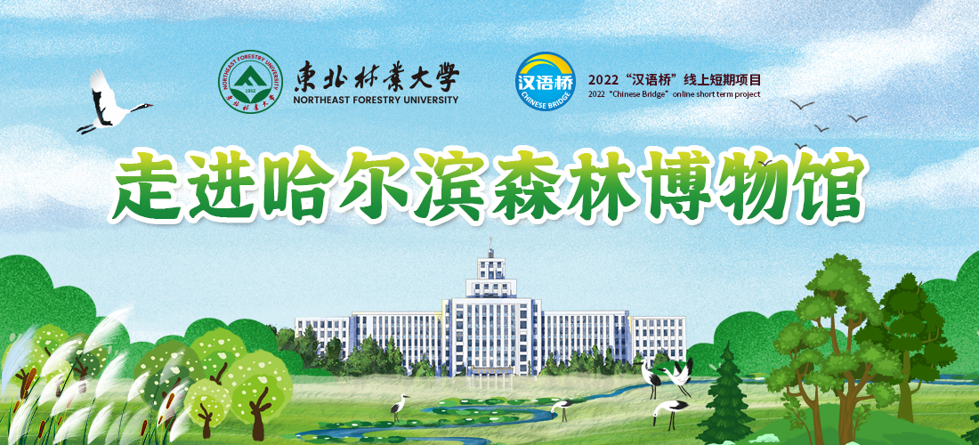 Visit China (Harbin) Forest Museum