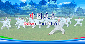 Artes marciales chinas