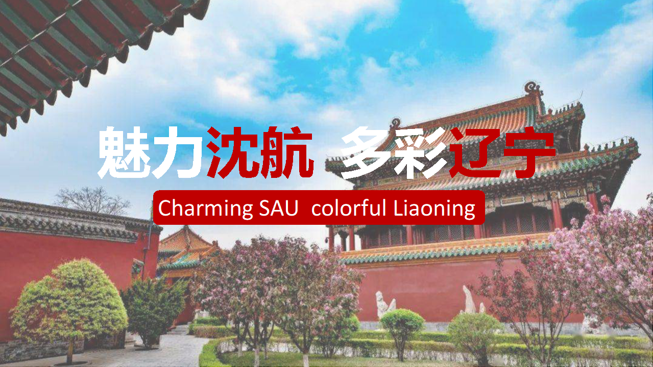 Charming SAU Colorful Liaoning