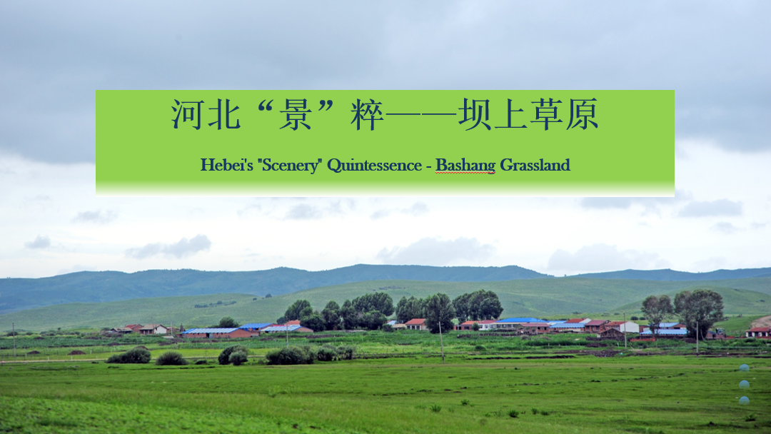 Hebei’s “Scenery” Quintessence–Bashang Grassland