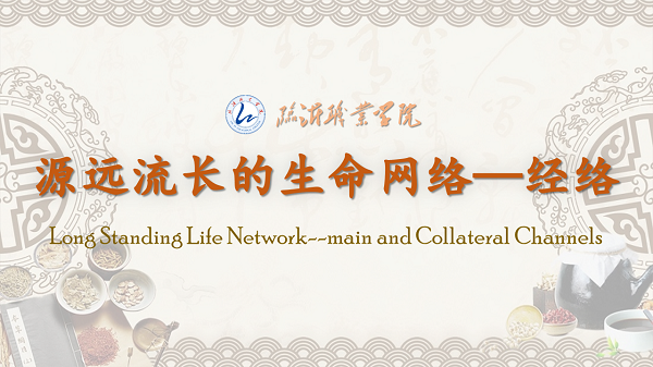 Long Standing Life Network--main and Collateral Channels