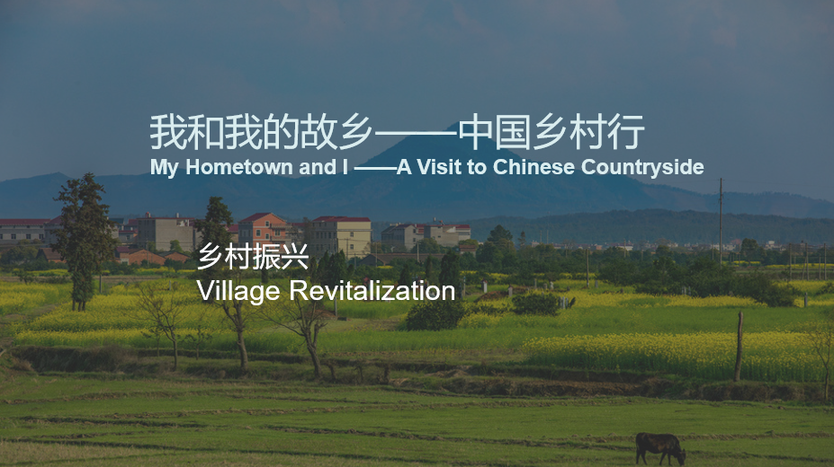 Village Revitalization