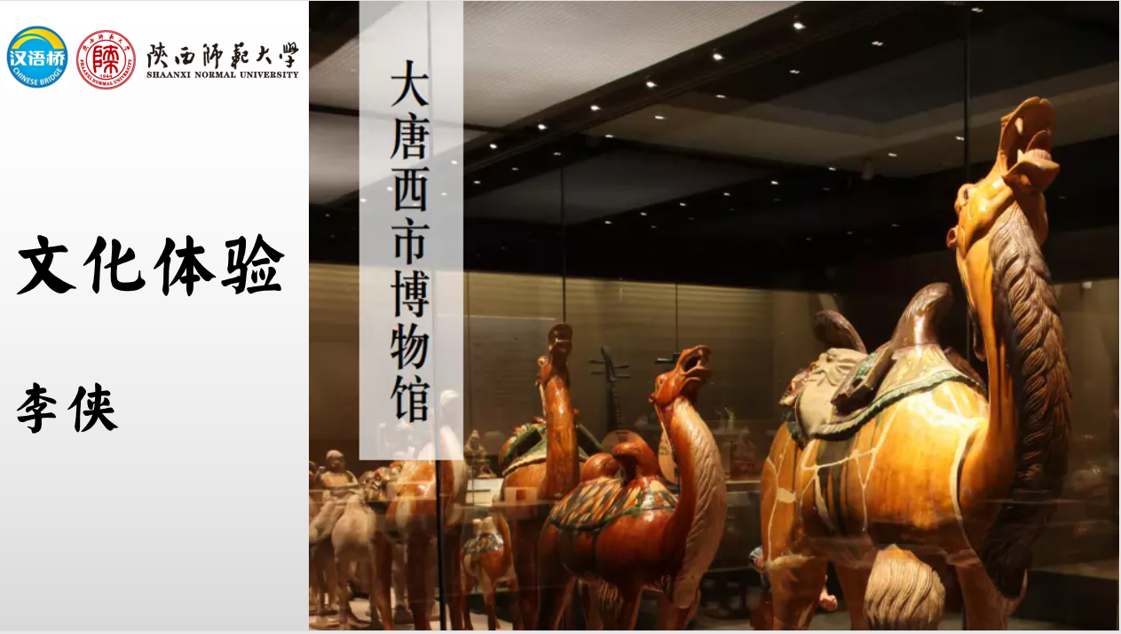 Experience the Tang West Market Museum