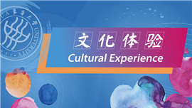 Programa de Experiencia Cultural