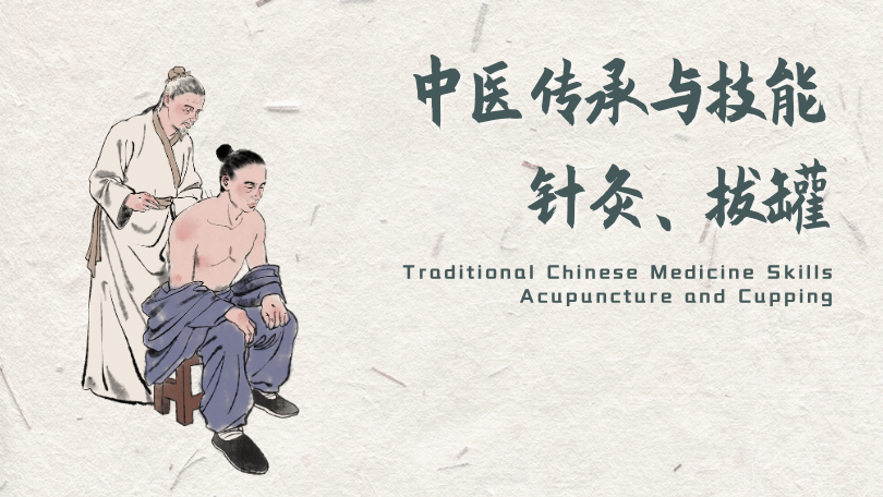 Traditional Chinese Medicine Skills