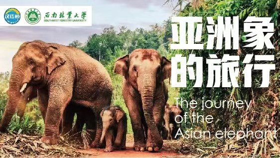 The journey of the Asian elephant