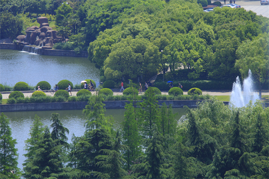 上海大学校园景色照片4.jpg