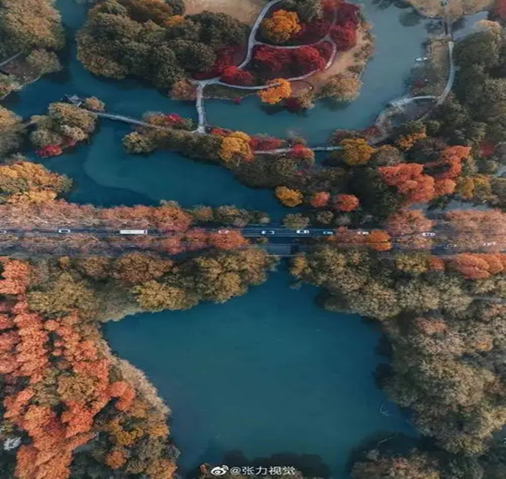 1672220396967347.png 1672220396967347.png