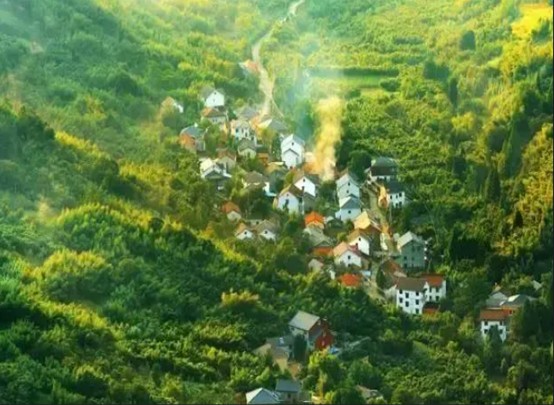 1672220695530147.jpeg 1672220695530147.jpeg