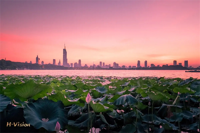 1675238602859454.jpeg 玄武湖2.webp.jpg