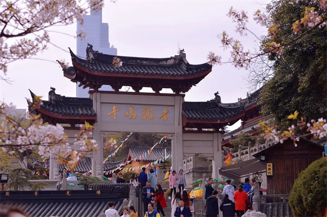 1675238623836939.jpeg 鸡鸣寺2.webp.jpg