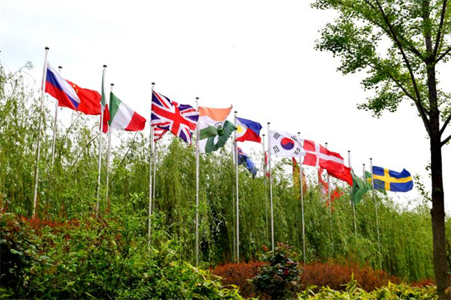 Flag Forest 旗林.jpg