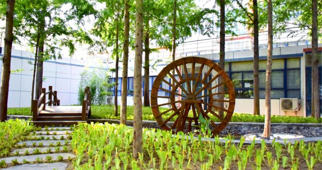 Shijing Garden 诗经苑.jpg