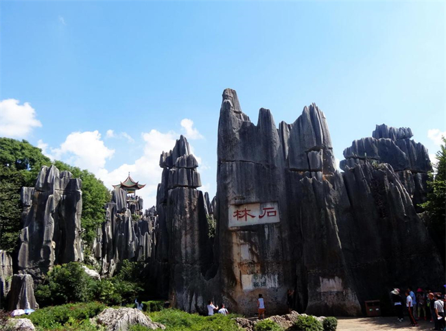 9云南石林.jpg